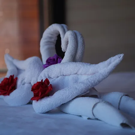 Hotel Renka Holidays And Caravans Alanya